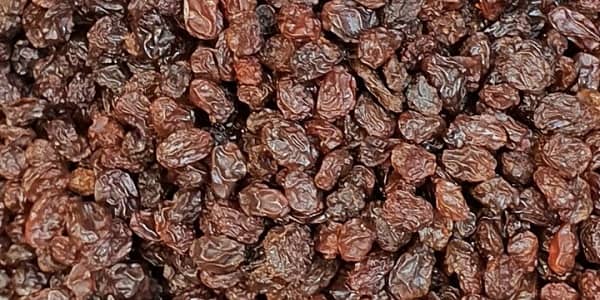تصویر 2 از قیمت خرید کشمش بیدانه افتابی تاکستان با فروش عمده